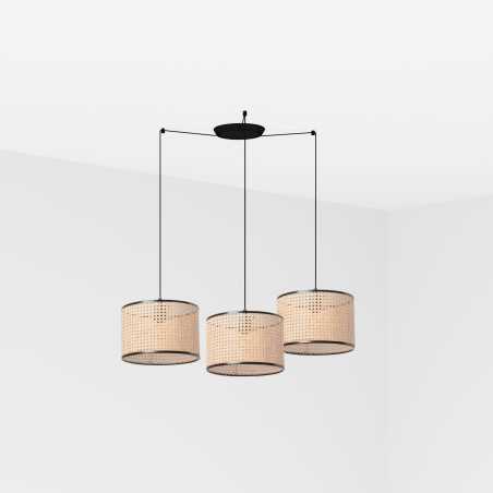 Lampe de plafond en acier E27 noir mat BOISDON