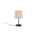 Lampe de table LED E27 en métal MUCCHIO