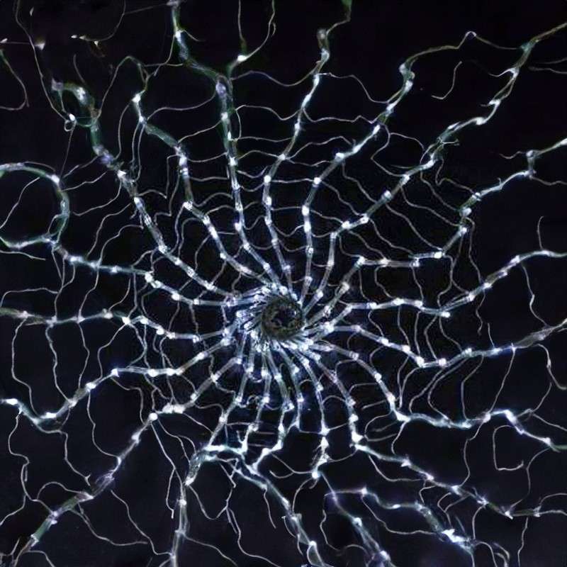 Toile d'araignée 600 LED lumière froide programmable de 175 cm de diamètre