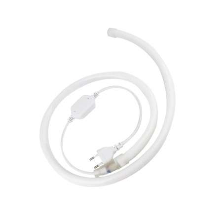 Broche spécial pour connecter le néon LED 220V