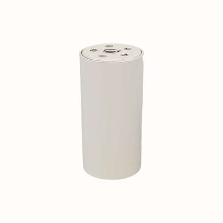 Tube en laiton de couleur blanche de 80 mm de hauteur x 40 mm de diamètre avec couvercle.