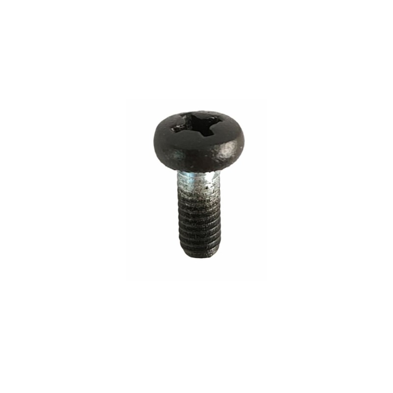 Vis pour lampes M4 x 10mm avec tête en étoile et de couleur noire