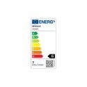 Ampoule LED S14d filament clair 6,2W dimmable 500mm