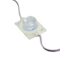 20 modules LED 49x31 pour lettres corporelles lumineuses