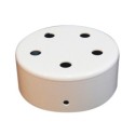 Support métallique de couleur blanche, diamètre de 100mm et cinq sorties.