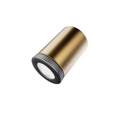 Spot lumineux avec mini GU10 pour créer des luminaires
 Couleur-Laiton satiné