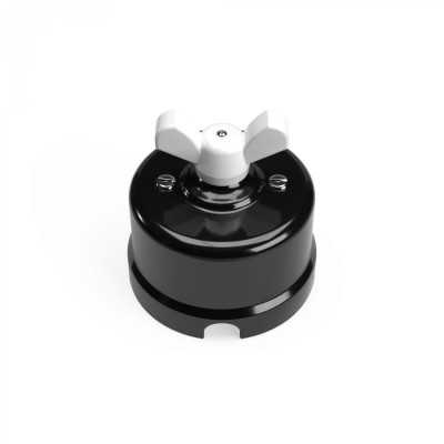Interrupteur en porcelaine noire avec noeud coloré