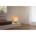 Lampe de table en acier E27 noir VIANGES