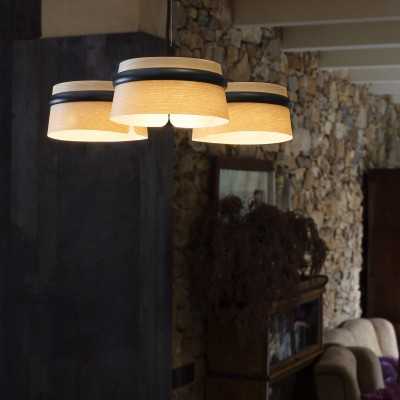 Lampe de plafond en acier LED intégré noir mat ANZEME