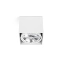 Lampe de plafond en aluminium AR111 blanc mat ARBONNE