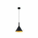 Lampe plafond acier LED intégré noir DARNIS